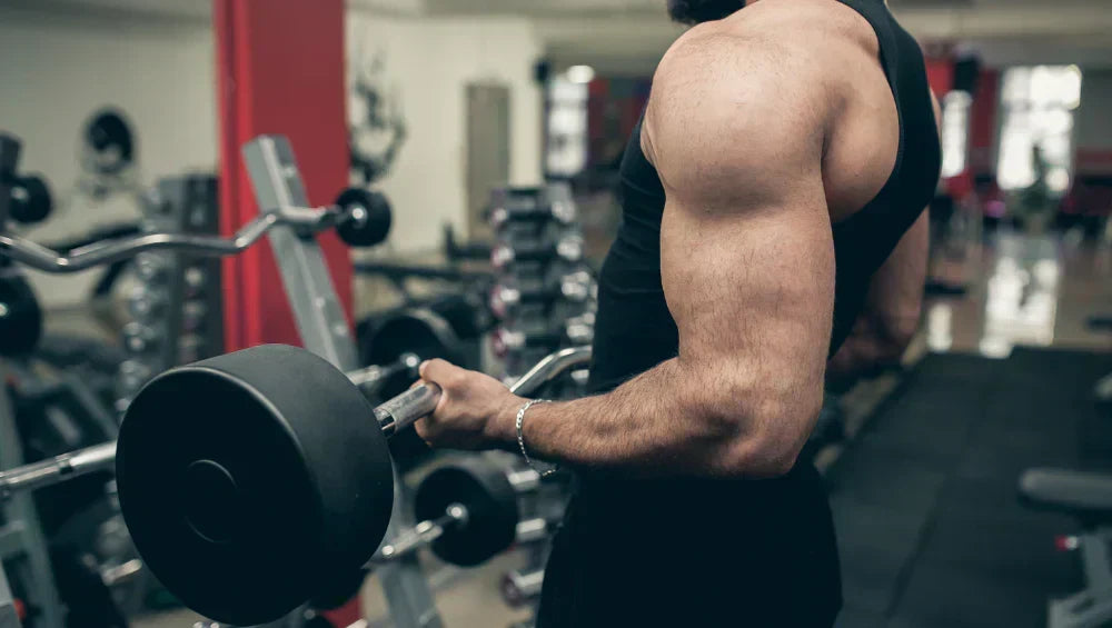 Homme en train de faire du curl biceps dans une salle de sport